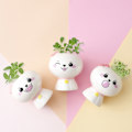Miniatyrbillede 3 af 4: IC 6 nye kreative miniplanter pottelandskaber (Teru teru bōzu) minilandskaber indendørs plantning børnegaver