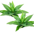 Pikkukuva 1 / 4: IC 2 buntar konstgjorda växter, falska Boston Fern Greenery Utomhus grön