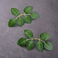 Miniatyrbillede 2 af 5: IC 10/30/50 stk Rosenblad Kunstig grønt Falsk Rose Blomst Le 50PCS