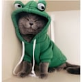 Miniatyrbild 2 av 5: IC Husdjurskläder Hundhuvtröjor Varm Tröja Kappa Valp Höst Vinterkläder Jumpsuit med Huva, Groda, S