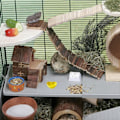 Miniatyrbillede 5 af 5: IG 2 stk Hamster Keramisk Madskål Anti-Vrid Mad Vandskål