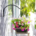 Miniatyrbillede 5 af 5: IC Mini Sukkulenter Plantningspotter Moderne Kaktus Saftig Blomsterpotte