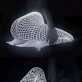 Miniatyrbild 5 av 5: Kvinnor Självlysande Nätstrumpor Glow in the Dark Strumpbyxor Sock Vit