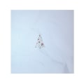 Miniatyrbilde 5 av 5: IC 5 stk fargeutskrift 3D julhjort bil jul tre