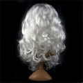 Pikkukuva 5 / 5: IC 1Set Jul Cosplay Peruk Skägg Jultomten Skägg Peruk Set med W A3