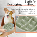 Miniatyrbild 5 av 5: IG Hundkatt Slow Feeder Skål Valp Slow Feeder Skål för Torrfoder och Blötmat Grön