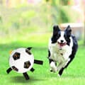 Miniatyrbillede 2 af 5: Interaktiv hundbold med håndtag