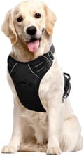 Hundsele Medium - med 2 koppelklämmor, reflexband, snabbspänne - Hals 33-48cm, Bröst 53-71cm - Svart - M