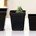Miniatyrbillede 3 af 5: 50 stk. sorte spirepotter - firkantede plastikpotter - små indendørs udendørs blomsterpotter (sort/ 6x6x6,5 cm)