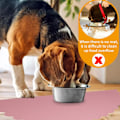 Miniatyrbild 4 av 5: IG Silikonmatta för husdjursfoder Hund Katt bordstablett matta, halkskydd