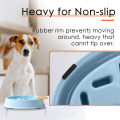 Miniatyrbild 3 av 5: IG Hundkatt Slow Feeder Skål Valp Slow Feeder Skål för Torrfoder Blå