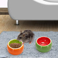 Miniatyrbilde 5 av 5: IG 2-delt hamstermatskål, keramisk matskål og vannskål