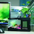 Miniatyrbillede 4 af 5: IC Kreativ multifunktionel USB Mini Akvarium Fiskedam LED Lampe Pen Liten Guldfisk Skål Sort