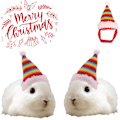 Miniatyrbilde 2 av 5: Julhatt for kjæledyr - Julenissehatt for hodet - Tilbehør for kanin, hamster, marsvin, chinchilla, pinnsvin, kattunge for katt