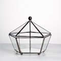 Miniatyrbild 4 av 5: IG Litet glasgeometriskt terrarium slutet juvelförpackad form New Small Black Footed