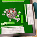 Pikkukuva 2 / 7: 2025 Mahjong -kortit, 4 kpl viralliset standardikäsien säännöt Mah-Jongg -kortit vihreä 4PCS