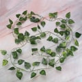 Miniatyrbillede 4 af 8: Kunstige falske blade hængende vinstokke 6,89ft lang vinstok reptil habitatindretning (Scindapsus blade)