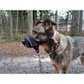 Miniatyrbillede 3 af 5: Hunde snude nylon blød polstring, justerbar løkke, sort
