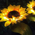 Miniatyrbillede 8 af 8: Solcelledrevet LED-solsikke til udendørs havebelysning, (2 stk.) IP65 vandtæt lampe, automatisk opladning af solcellelamper til haven, store realistiske blomster