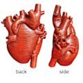 Miniatyrbild 8 av 8: Stilren hjärtvas, anatomiskt hjärta i harts för skrivbordsdekoration, unik design som ger bohemisk konst till ditt utrymme