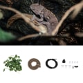 Miniatyrbild 8 av 8: Djungelhabitat Flexibel Simulerad Rotting Atomizer Enhet Set för Reptil Terrarium(typ1)