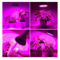 Miniatyrbilde 2 av 8: Full Spectrum 150LED 100W E27 Plantevekstlampe for Drivhusplanter Blomstervekst 85-265V