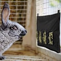Miniatyrbillede 3 af 5: Kanin Hø Foderpose, Marsvin Hø Foder Opbevaring, Kanin Foder Hø Foder til Kanin Marsvin
