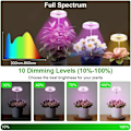 Miniatyrbillede 4 af 5: Plantevækstlys, 48 LED'er Fuld Spektrum LED Plantelys, Auto On/Off Timer 3/9/12H Vækstlampe, Ideel til Små Planter