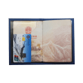 Miniatyrbild 4 av 6: Vanligt PU-läder Safiano Cross Pattern Business Passport Holder med ID-korthållare Universal Passport Covers pink