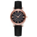 Miniatyrbild 1 av 6: Mode Watch Watch Star Sky Dial Klocka Quartz Armbandsur Dam Casual Mesh Bälte Armbandsur Klocka Black