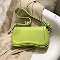 Miniatyrbild 2 av 6: Petscog Luxury Designer Axelväskor Crossbody Väskor För Kvinnor Pu Läder Trend Kvinnlig Underarm Väska Mode Handväska Flap Handväskor Light Green A (20cmMax Length30cm)