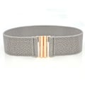Miniatyrbild 1 av 6: Brett resårbälte Enfärgad korsettbälte Metallspänne Dammode Cummerband Stretch Cinch midjeband Dam midjebälte style 2-light grey One Size