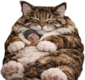 Miniatyrbillede 2 af 7: Fluffy kattesovepose til voksne, plysj katteformet sovepose til voksne, søde kattekonvolutsoveposer, vaskbart varmt tæppe, farve E Color B