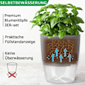 Miniatyrbillede 4 af 5: HHL Krydderurtehavesæt Vindueskarm Automatisk Vandingssystem 3-delt Køkkenkrydderurtehave, 18,2x 11x 15,3 cm, Egnet til Friske Krydderurter, Grå˜QD