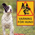 Miniatyrbild 3 av 3: VARNING FÖR HUND Skylt - Hundskylt / Varningsskylt / A5_QQ