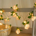 Pikkukuva 1 / 5: LED-valosarja ruusuilla