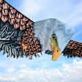 Miniatyrbild 4 av 5: /QD/3D Örndrake för utomhuslek