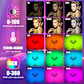 Pikkukuva 2 / 5: \"QD\"P400 RGB LED -videovalo 2500-6500K LED-valokuvausvalo OLED-näyttö, 0-100% säädettävä kirkkaus, 2500mAh sisäänrakennettu akku, 12 valaistuskohtausta