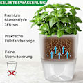Miniatyrbild 4 av 5: Fönsterbräda köksset självvattnande set med 3 örtträdgårdar för kök 18,2 X 11 X 15,3 cm för färska köksörter vit˜QD