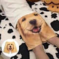 Miniatyrbillede 3 af 5: \"QD\" Fem Shorts til Mænd Golden Retriever Tryk Casual Strandshorts ShortsL L