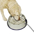 Miniatyrbillede 3 af 5: [QD] Varmeisoleret skål til kæledyr, rustfrit stål udendørs opvarmet vandskål til hunde, kyllinger osv., EU-stik