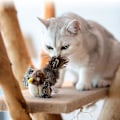 Miniatyrbild 2 av 3: Sparvformad Kattleksak Fågelsimuleringsljudleksak Husdjursljudande Plyschdocka Husdjurstillbehör För Katt