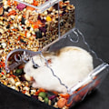 Miniatyrbillede 5 af 5: /QD/Foderdispenser til Gnavere - Plast