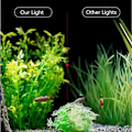 Miniatyrbilde 3 av 5: \"QD\" Akvarielampe LED Hvit og Blå Nano Clip-on Belysning For Fiskeplanter 23-50cm - Svart