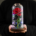 Miniatyrbillede 2 af 4: Rød Evighedsrose – Rose i Glasklokke med Belysning_qq
