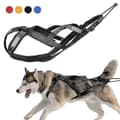 2026 Hundsläde Vikt Dragsele Reflex för Husdjur Träning Black XL