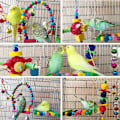 Miniatyrbillede 4 af 5: st fuglelegetøj til undulater, papegøjer, hængende klokke, gynge, spejl, tyggelegetøj til papegøjer, fugle{HH}