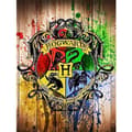 TG (30x40) Harry Potter DIY 5D Diamantmålning Komplett Borrkit, Diam{F2}