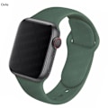 Miniatyrbilde 10 av 10: Silikonarmbånd for Apple Watch 44mm 40mm 38mm 42mm Correa Iwatch Serie Se 6 5 4 3 Armbånd Apple Watch Series 7 45mm 41mm Seafoa 42 44 45 mm M-L{F2} 42 44 45 mm M-L Seafoam