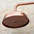 Miniatyrbilde 3 av 5: Tommer Rød Kobber Antikk Messing Rund Dusjhode: Elegant Baderomsinnredning{F2}